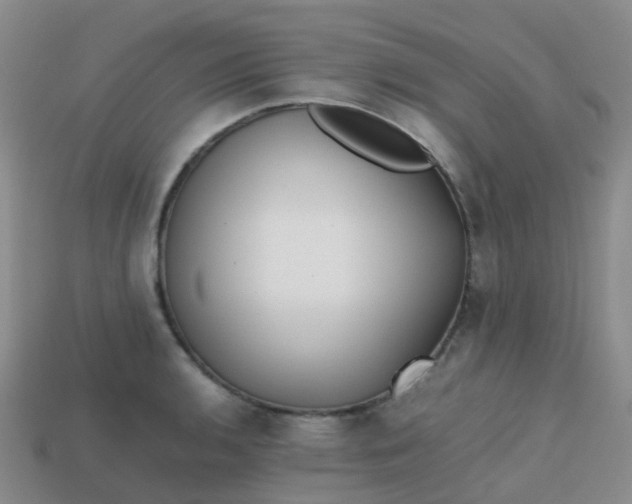 X0000113871136200910081721