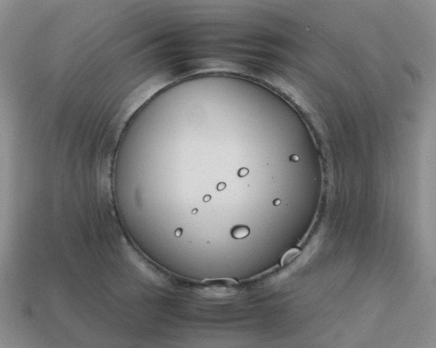 X0000113871137200910081721