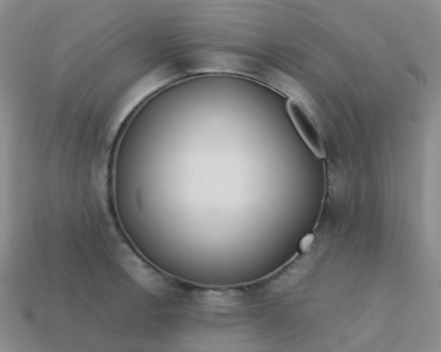 X0000113871138200910081721