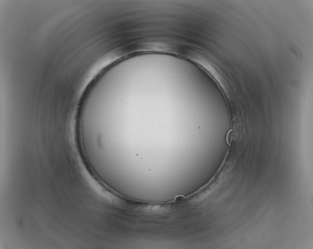 X0000113871139200910081721