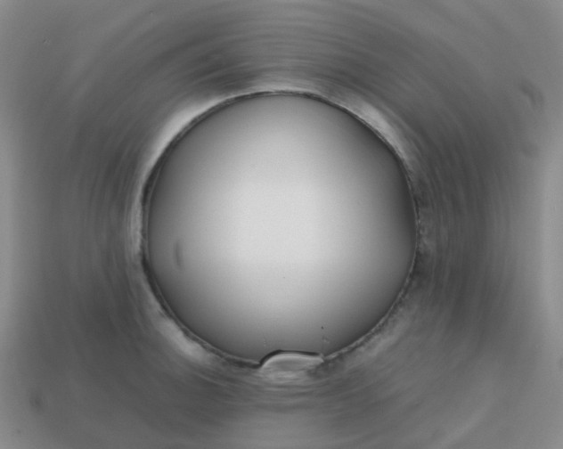 X0000113871140200910081721