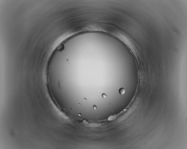 X0000113871141200910081721