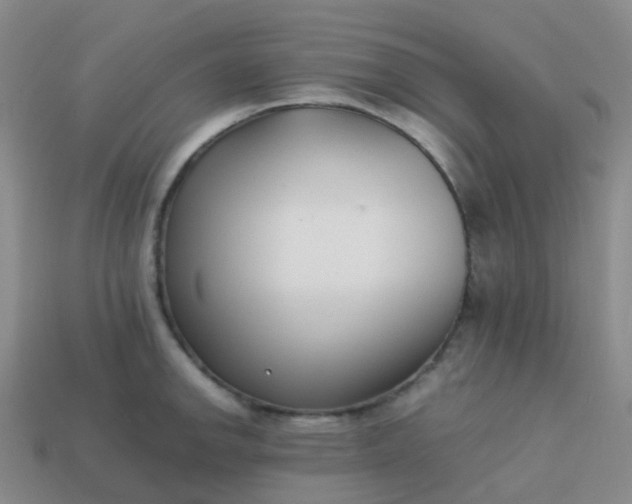 X0000113871142200910081721