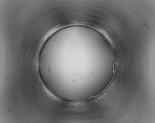 X0000113871143200910081721