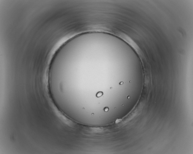 X0000113871144200910081721