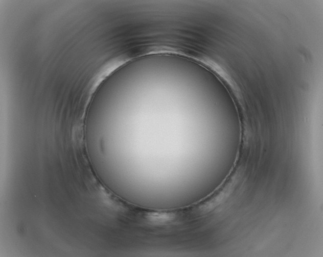 X0000113871145200910081721