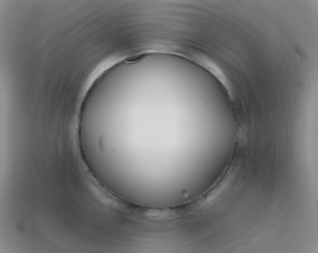 X0000113871146200910081721