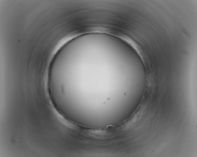 X0000113871147200910081721