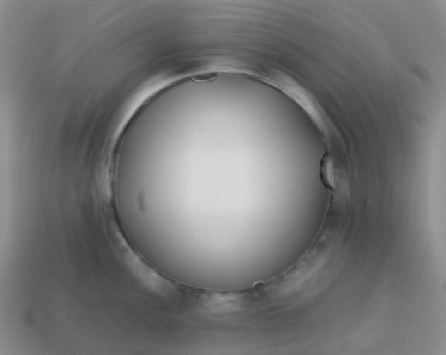 X0000113871148200910081721