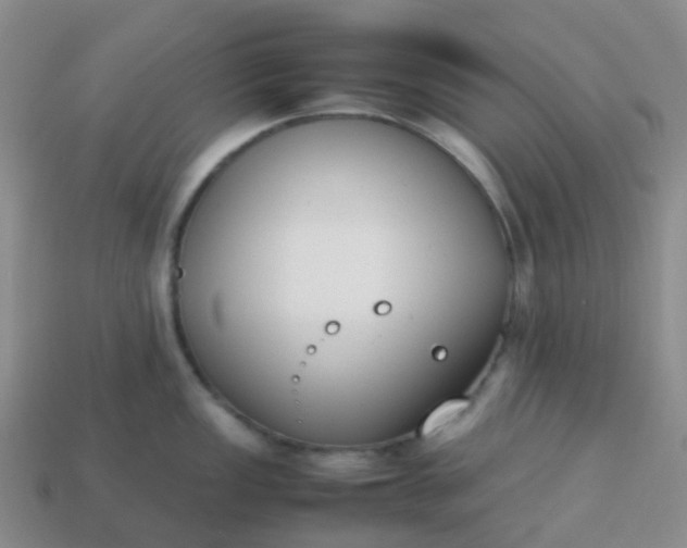 X0000113871149200910081721