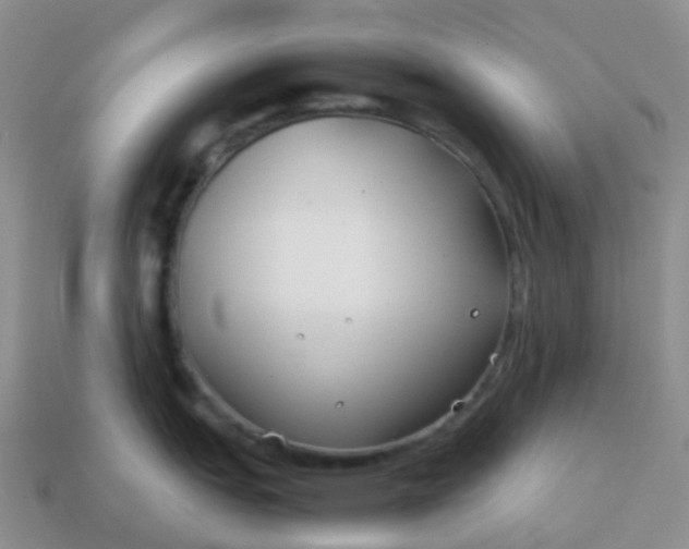 X0000113871151200910081721