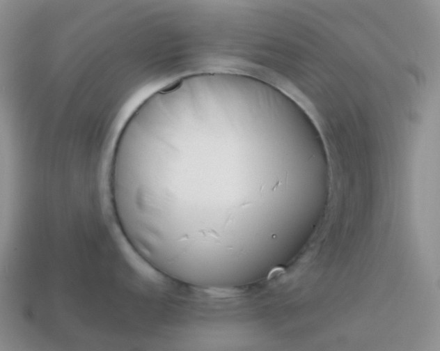 X0000113871152200910081721