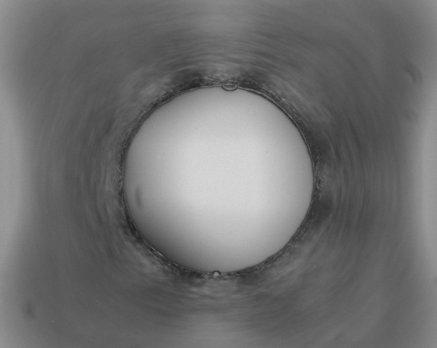 X0000113871153200910081721