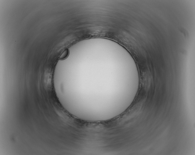 X0000113871154200910081721