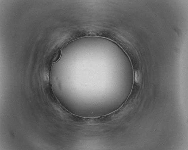 X0000113871155200910081721