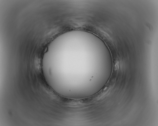 X0000113871156200910081721