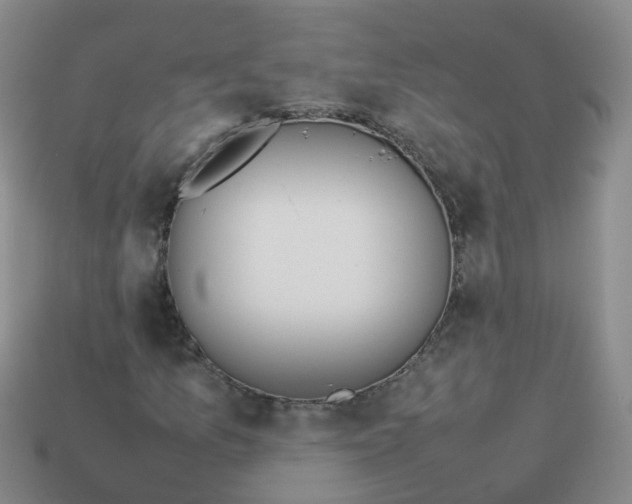 X0000113871157200910081721