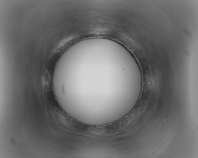 X0000113871158200910081721