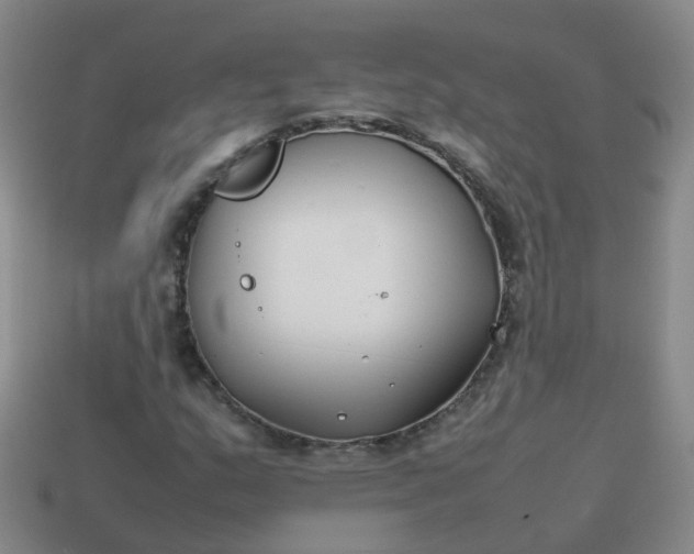 X0000113871159200910081721