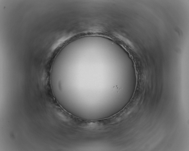 X0000113871160200910081721