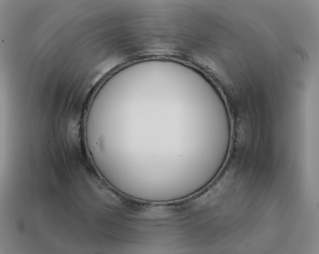 X0000113871162200910081721