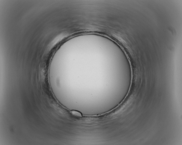 X0000113871163200910081721