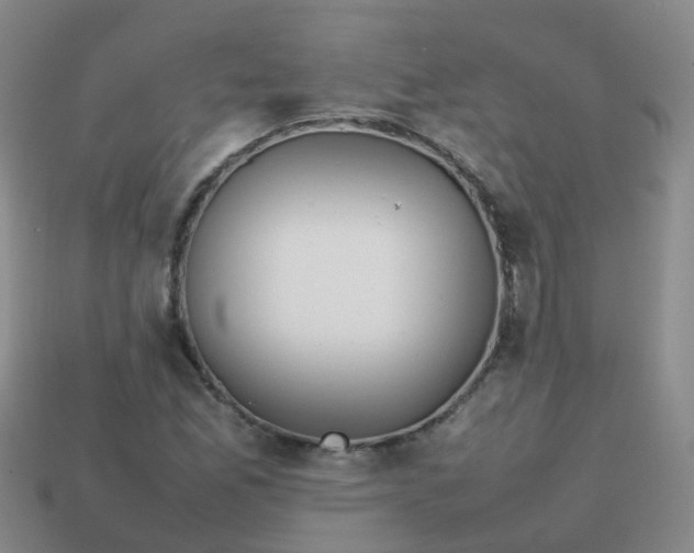 X0000113871165200910081721