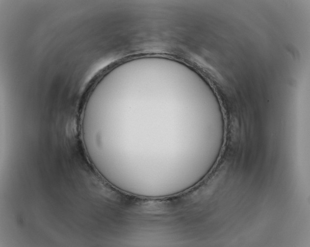 X0000113871166200910081721