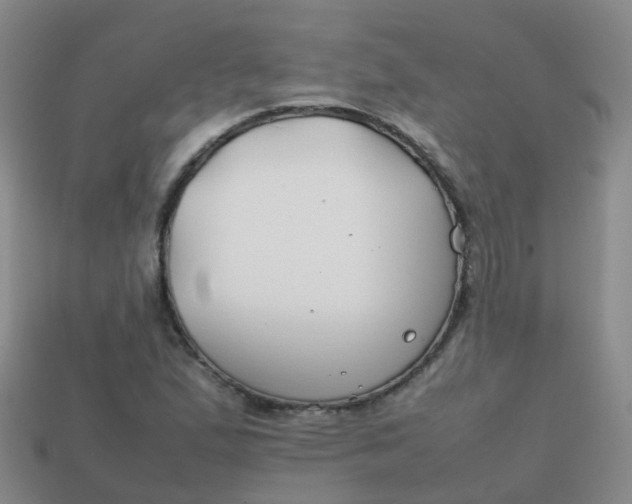 X0000113871167200910081721