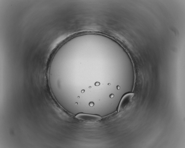 X0000113871168200910081721