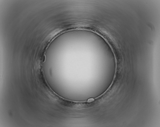 X0000113871169200910081721