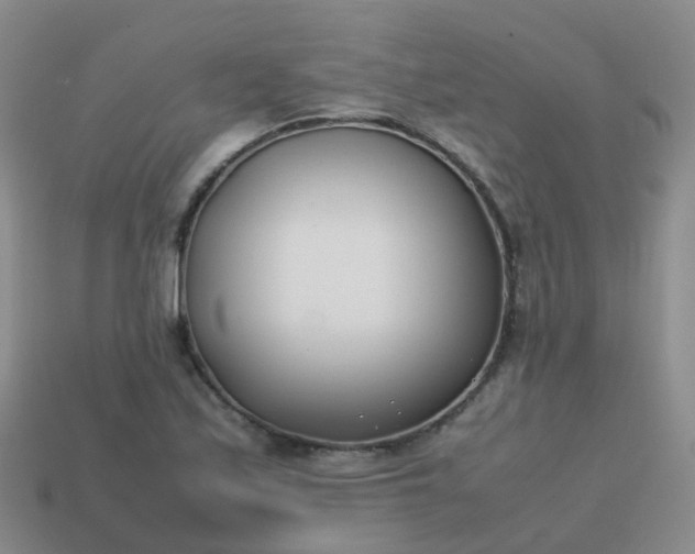 X0000113871171200910081721