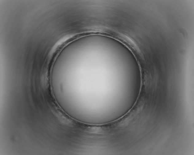 X0000113871172200910081721