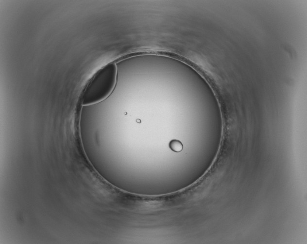 X0000113871173200910081720