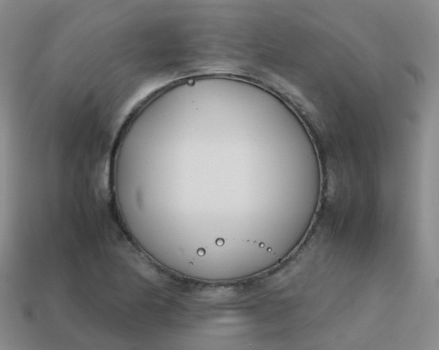 X0000113871174200910081720