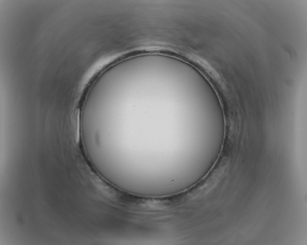 X0000113871175200910081720