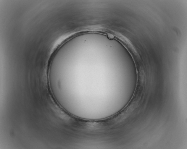 X0000113871176200910081720