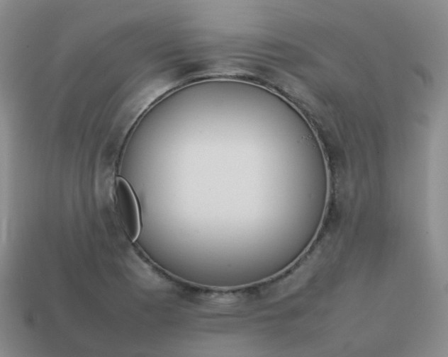 X0000113871177200910081720