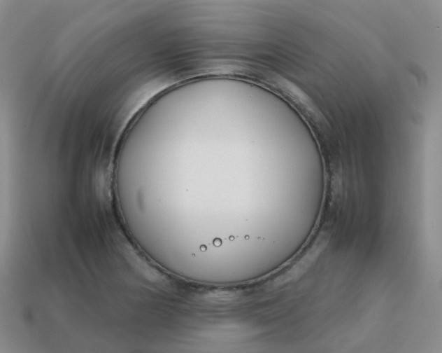 X0000113871178200910081720