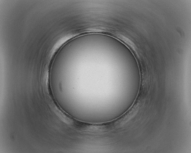 X0000113871179200910081720