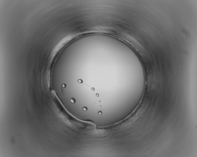 X0000113871180200910081720