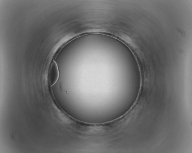 X0000113871181200910081720