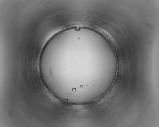 X0000113871182200910081720