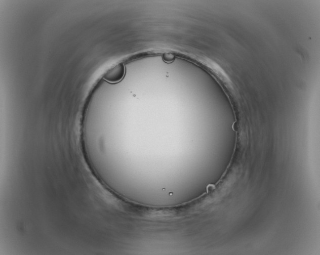 X0000113871183200910081720