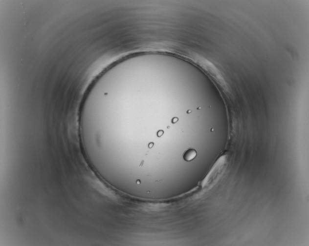 X0000113871184200910081720