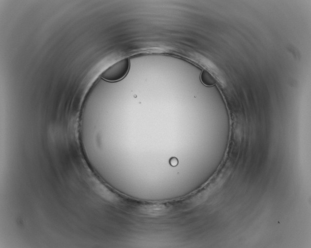 X0000113871186200910081720