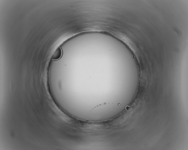 X0000113871187200910081720