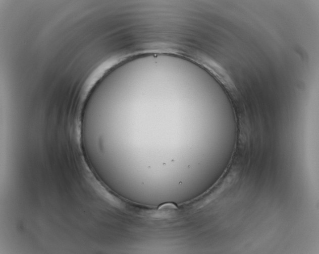 X0000113871188200910081720