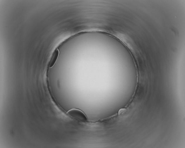 X0000113871189200910081720