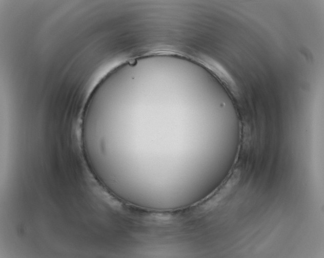 X0000113871190200910081720